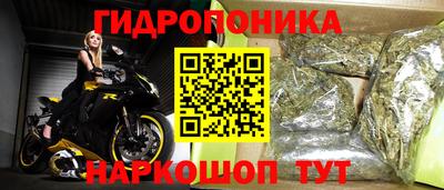 молекула духа Новодвинск