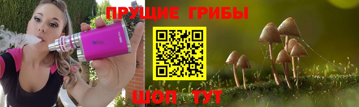 Псилоцибиновые грибы GOLDEN TEACHER  Вход с VPN  Псилоцибиновые грибы Magic Shrooms  Тара 